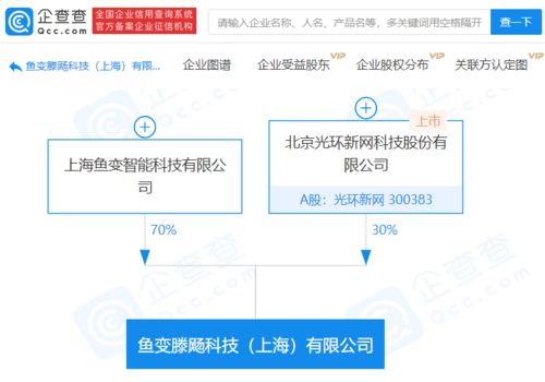 光環新網攜手成立科技新公司，聚焦軟件開發領域